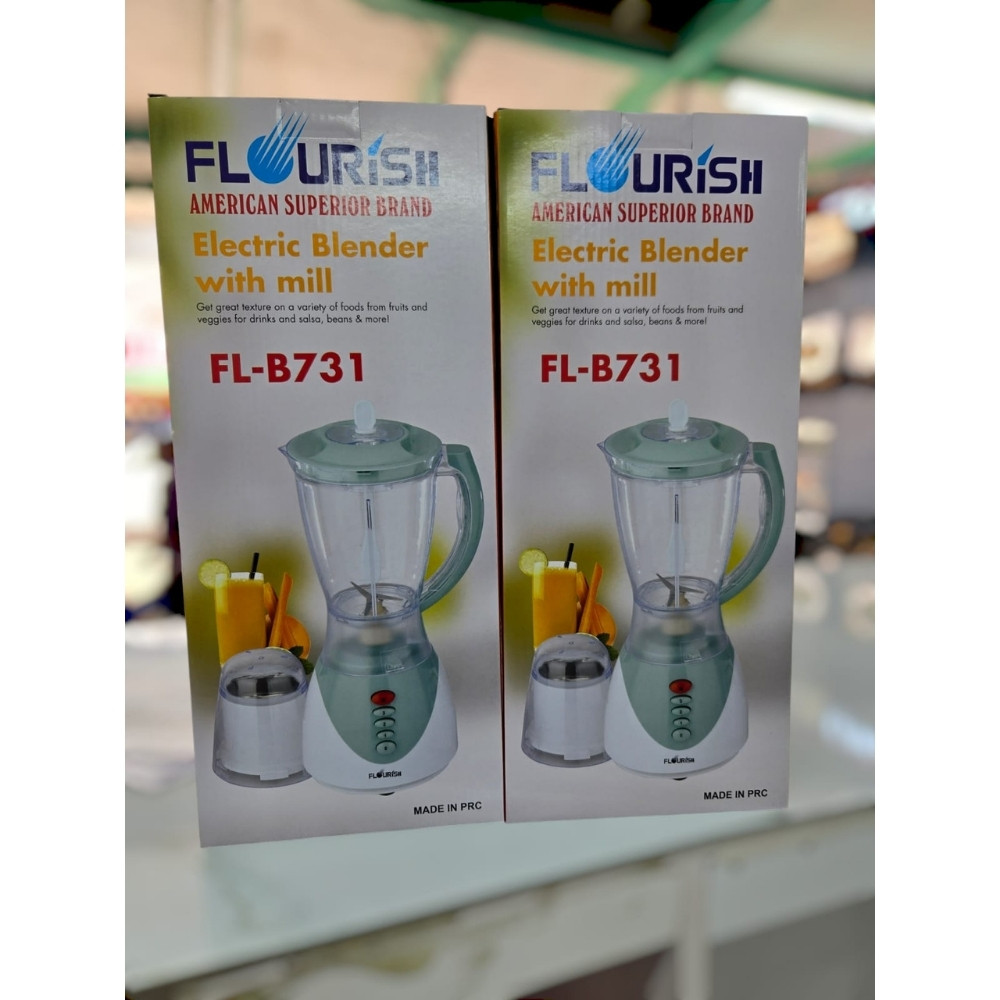 2IN1 FLOURISH BLENDER